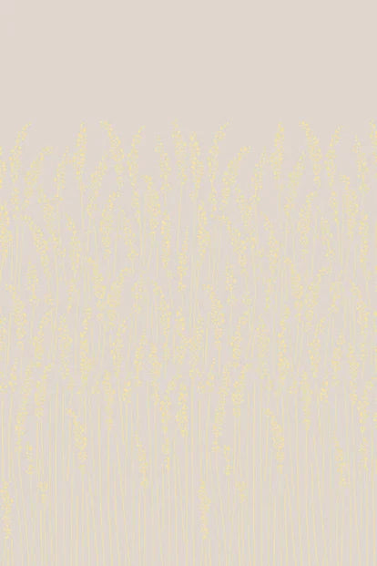 Feather Grass BP5104